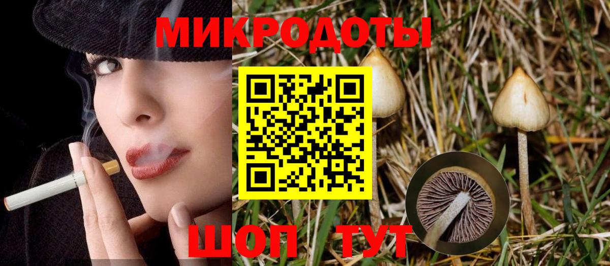 Псилоцибиновые грибы ЛСД Азнакаево