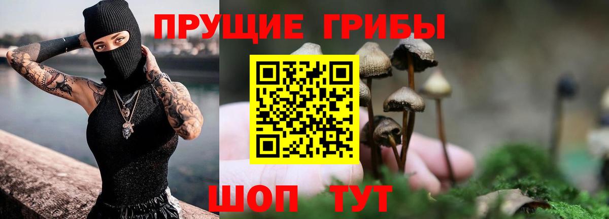 Галлюциногенные грибы Cubensis  Вход с VPN  Азнакаево 