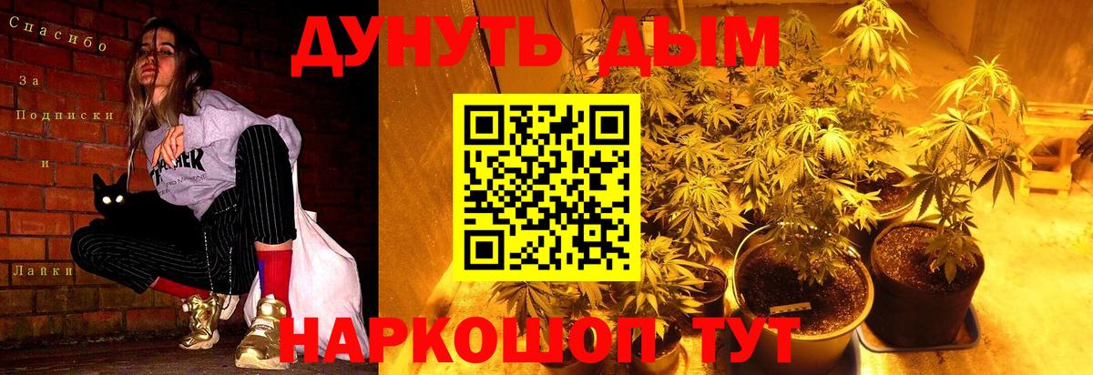 Конопля тримм  Вход с VPN  Канабис SATIVA & INDICA  Азнакаево  Каннабис Bruce Banner  Марихуана AK-47 